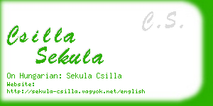 csilla sekula business card